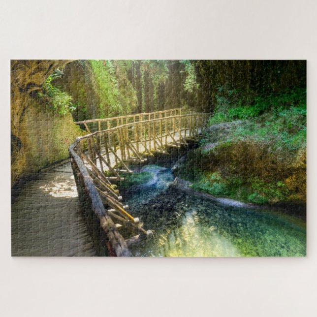 forest path puzzle (Horizontal)