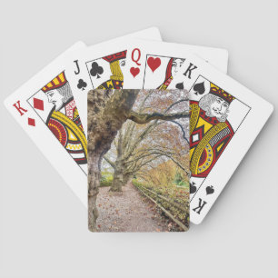 Forest Pathway Playing Cards