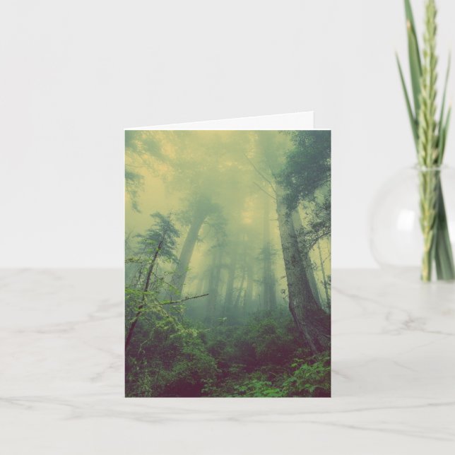 FOREST PHOTOGRAPHY BIRTHDAY CARDS (Front)