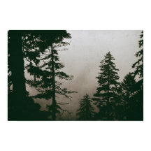Forest Pine Tree Vintage Nature Pines Woodland