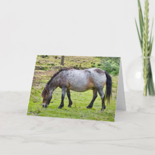 Forest Pony - Greeting Card