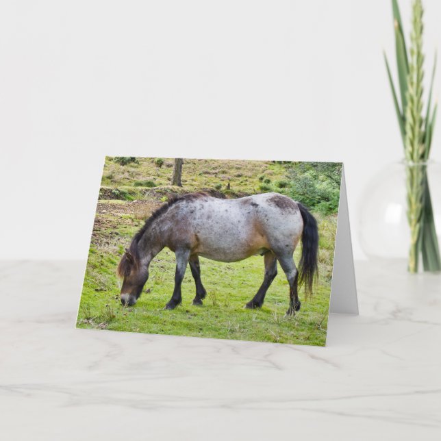 Forest Pony - Greeting Card (Front)