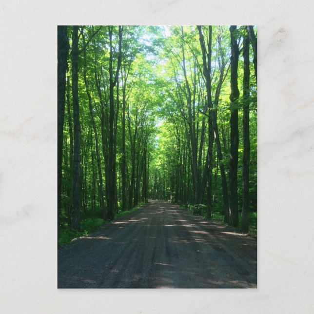 forest postcard (Front)