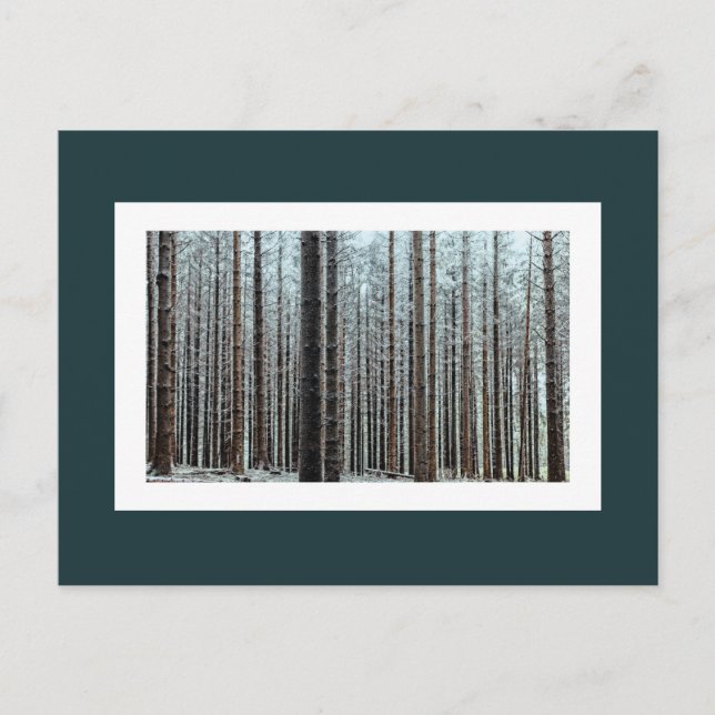 Forest Postcard (Front)