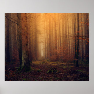 Forest Poster