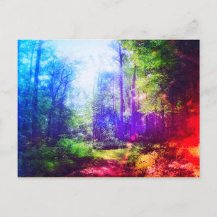 FOREST RAINBOW POSTCARD