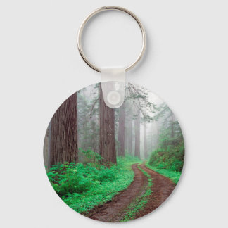 Forest Redwood Key Ring