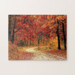 Forest Road - Fall - Beautiful Autumn Jigsaw Puzzle<br><div class="desc">Forest Road - Fall</div>