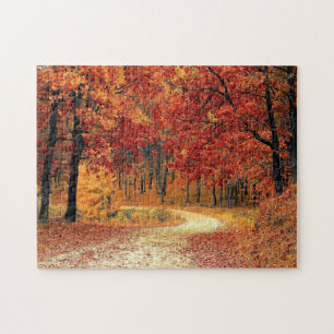 Forest Road - Fall Jigsaw Puzzle
