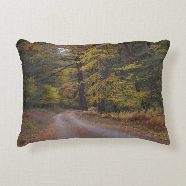 "Forest Road in Autumn" Decorative Cushion (Front)