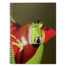 Forest Royalty- Spiral Photo Notebook
