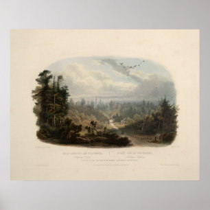 Forest scene on the Tobihanna, Alleghany Mountains Poster