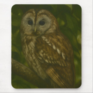 Forest Sentinel – Tawny Owl Wildlife Art Mouse Pad