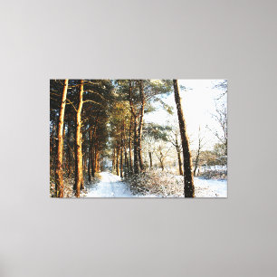 Forest Snow Scene 60x40 (150x100cm) waccn Canvas P Print