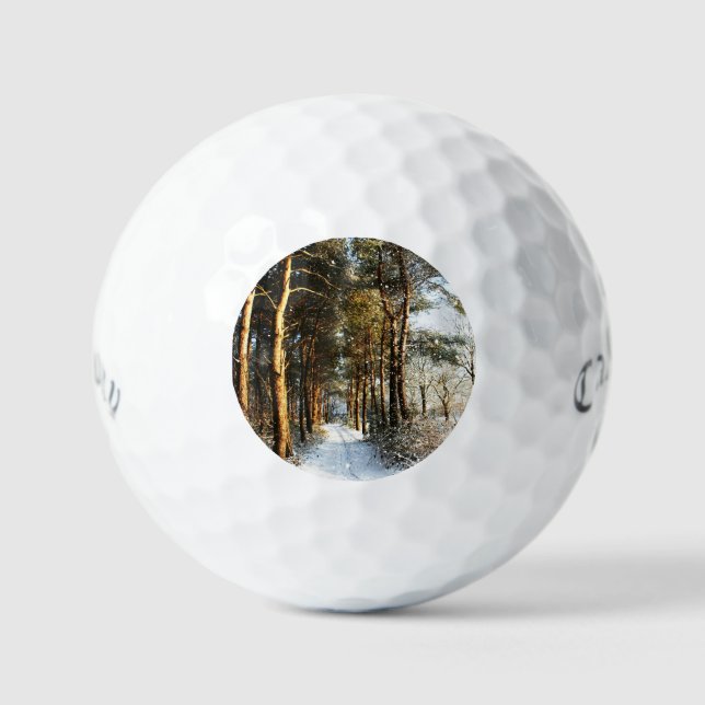 Forest Snow Scene css gbcnm Golf Balls (Front)