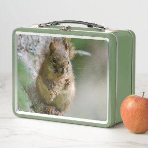 Forest Squirrel – Wildlife Photography Metal Lunch Box