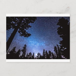 Forest Star Gazing An Astronomy Delight Postcard