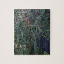 Forest Steps in Early Autumn