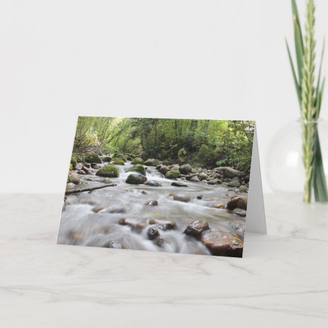 Forest Stream blank greeting card (Front)