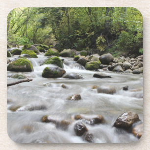 Forest Stream coaster set