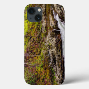 Forest Stream In Great Smoky Mountains iPhone 13 Case