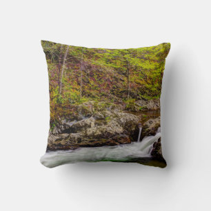 Forest Stream In Great Smoky Mountains Cushion