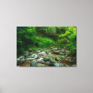 Forest Stream in Lush Woodland (Dargle River) Canvas Print
