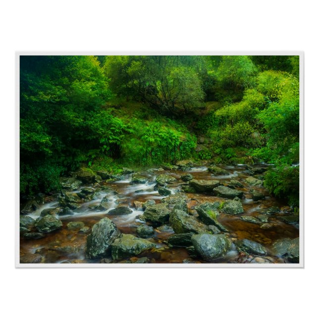 Forest Stream in Lush Woodland (Dargle River) Poster (Front)