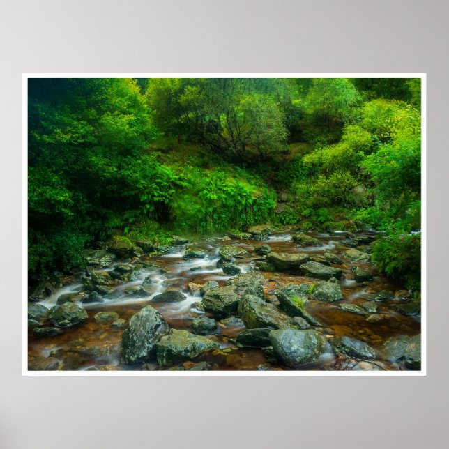 Forest Stream in Lush Woodland (Dargle River) Poster (Front)