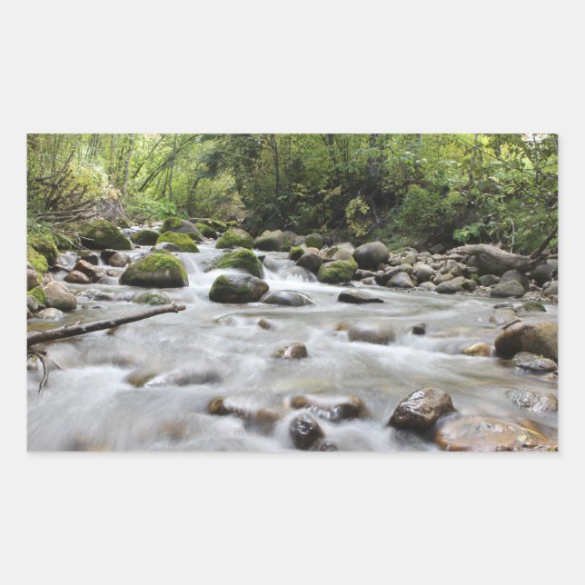 Forest Stream stickers (Front)