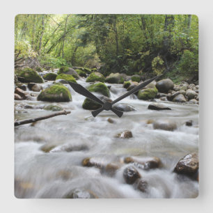 Forest Stream wall clock