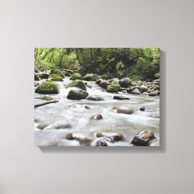 Forest Stream wrapped canvas (Front)