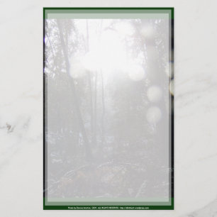 Forest Sun Rays in the Snow #64 Stationery