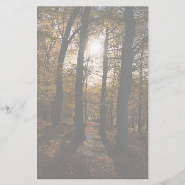 Forest sun stationery (Front)