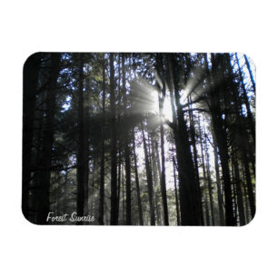 Forest Sunrise Magnet