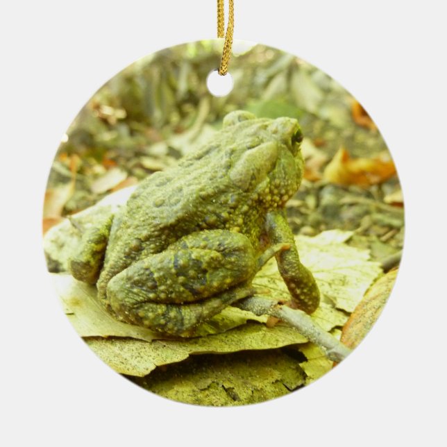 Forest Toad Ceramic Tree Decoration (Front)
