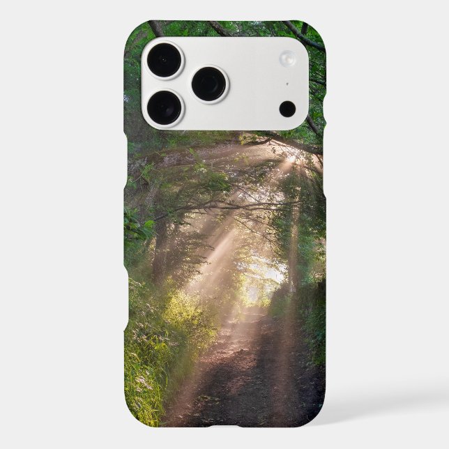 Forest trail (Back)