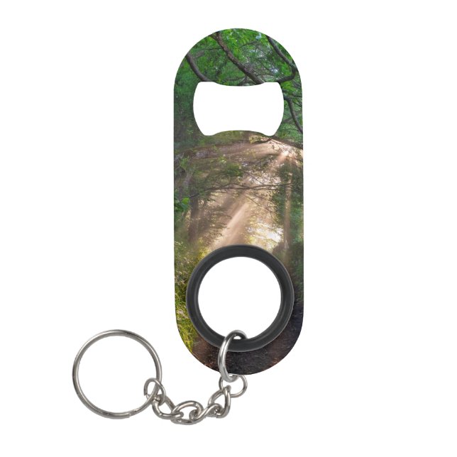 Forest trail (Front)