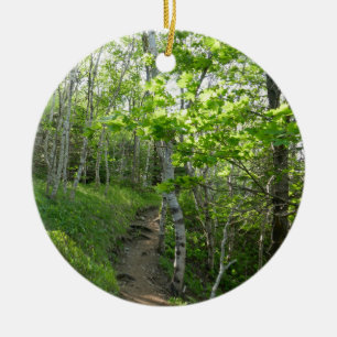Forest Trail at Acadia Ceramic Tree Decoration