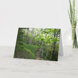 Forest Trail at Acadia National Park Card