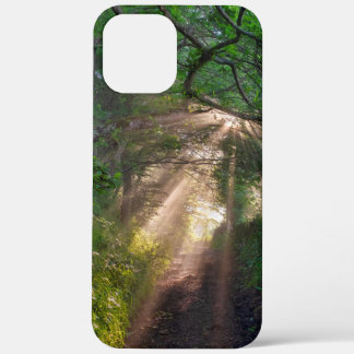 Forest trail iPhone 12 pro max case