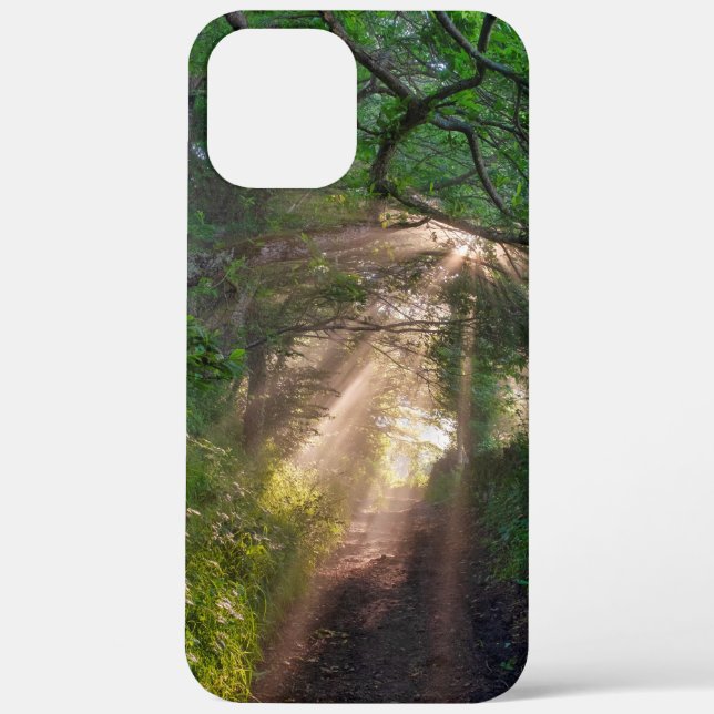 Forest trail Case-Mate iPhone case (Back)