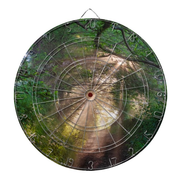 Forest trail dartboard (Front)