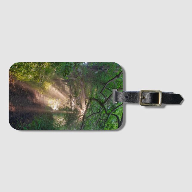 Forest trail luggage tag (Front Horizontal)