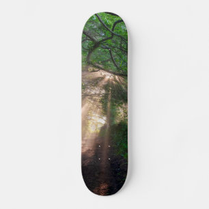 Forest trail skateboard