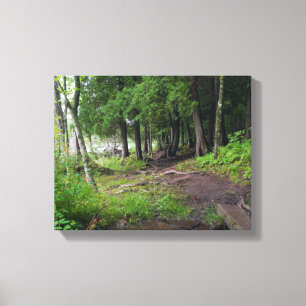 Forest Trail Through Jay Cooke Park Canvas Print
