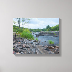 Forest Trail Through Jay Cooke Park Canvas Print