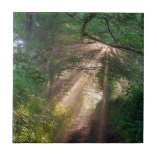 Forest trail tile