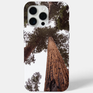 forest, tree iPhone 15 pro max case