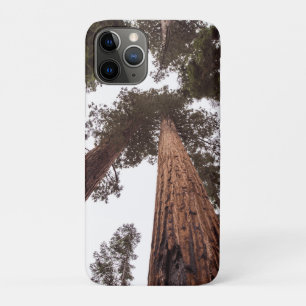 forest, tree Case-Mate iPhone case